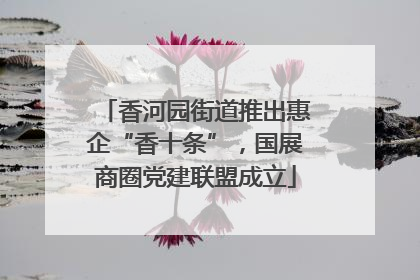香河园街道推出惠企“香十条”，国展商圈党建联盟成立